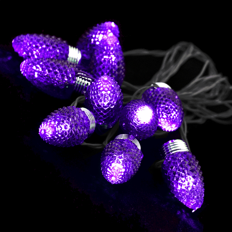 702692 - Halloween Classic Bulb Light String