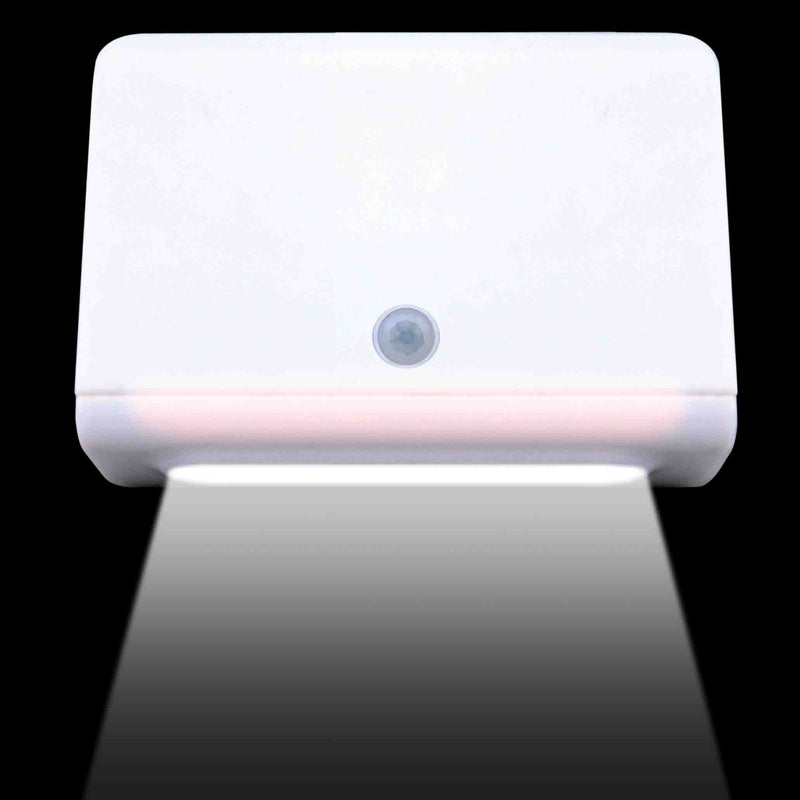702706 - Motion Hallway/Stairway Light