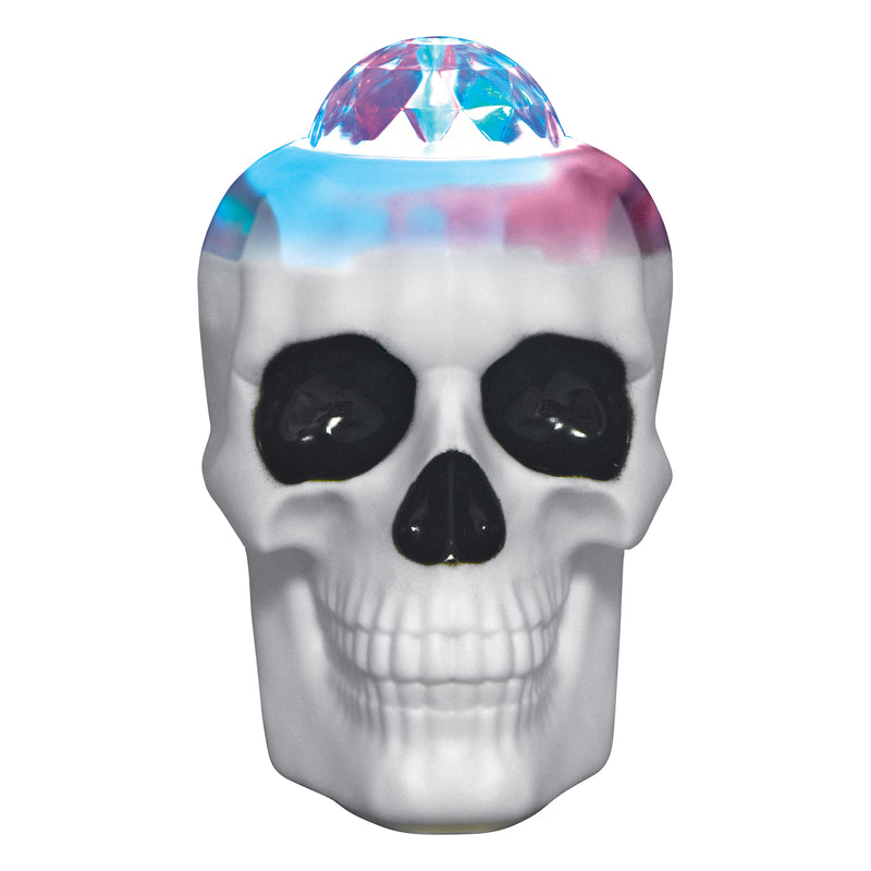 768394 - Halloween Table Show - Cat & Skull