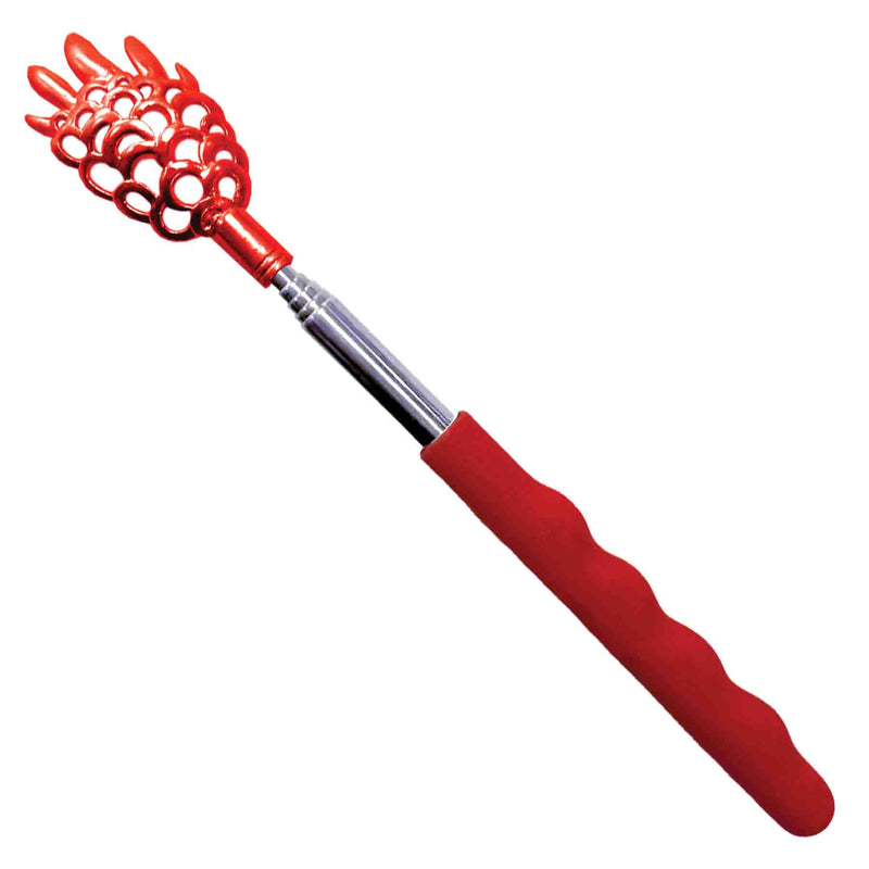 768640 - Armadillo Back Scratcher