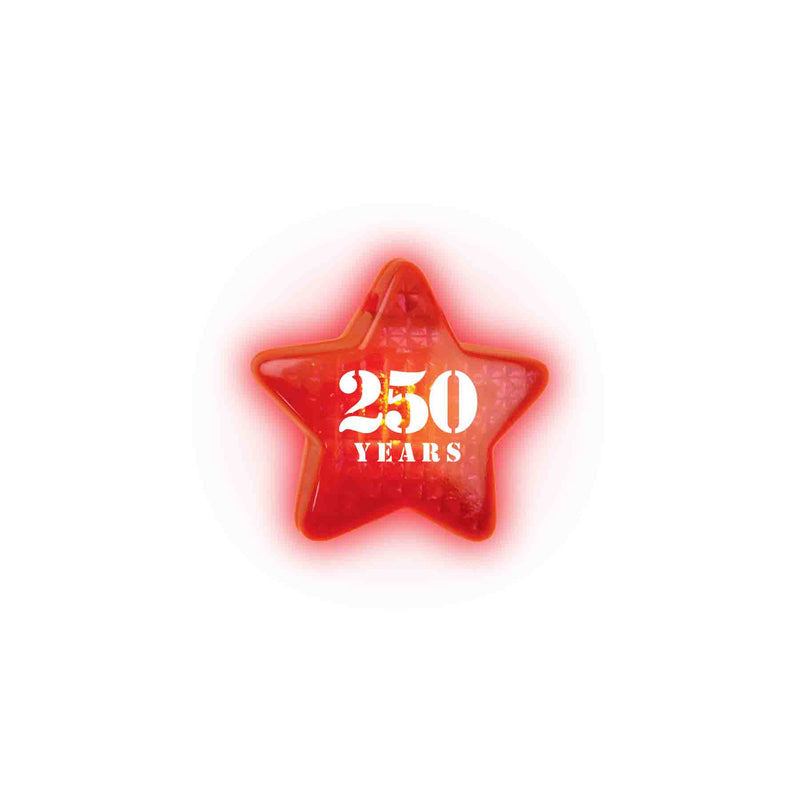 768662 - America 250 6 LED Star Necklace
