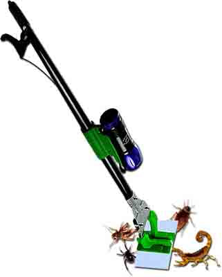 900226 - Scorpion Bug Stick + 10 Traps
